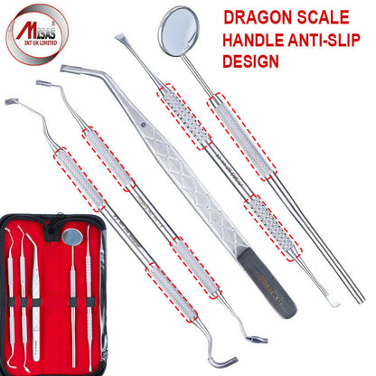 Dental Tools Set Dentist Instruments Teeth Cleaning Tools Stainless Steel Tools