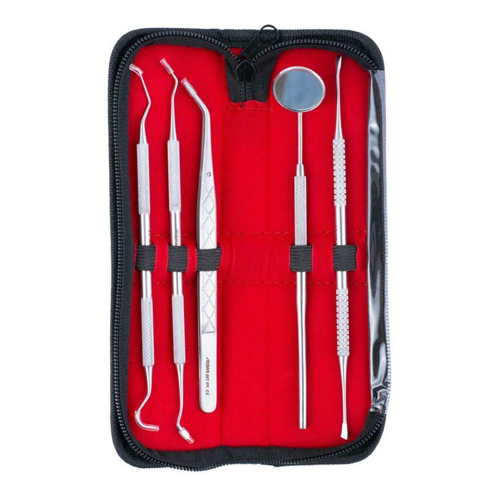 Dental Tooth Cleaning Kit Dentist Scraper Pick Tools Calculus Plaque Remover Set